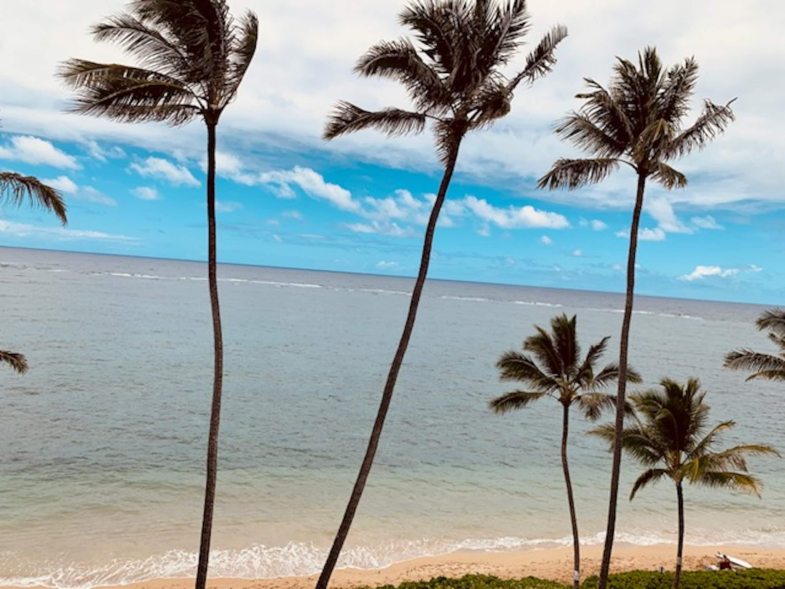 Condo in Hauula · ★4.88 · 1 bedroom · 3 beds · 1 private bath - Image 46