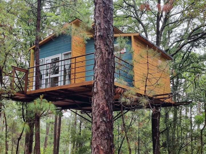 Iguazú Cabin (Pinochueco)