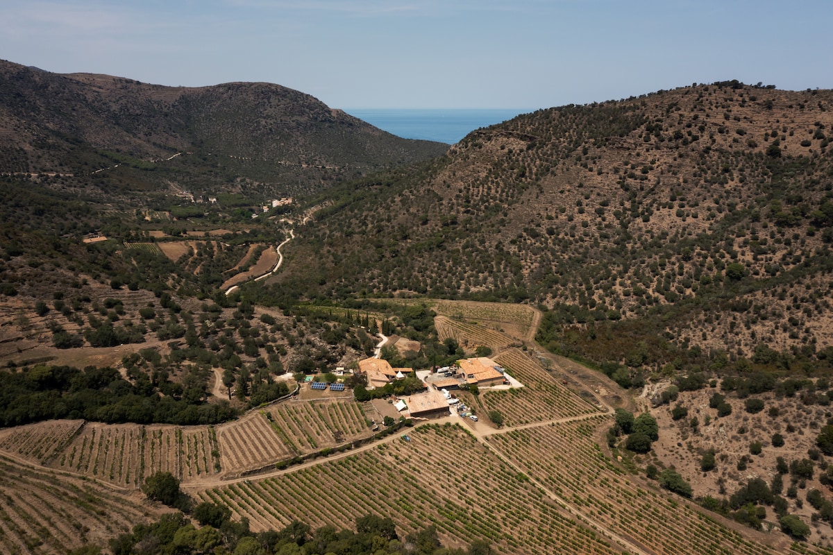 Selva de Mar, Mas Estela, Casa Rai — photo 5