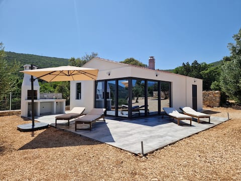 Top performing Airbnb: House Denny in Sveti Jakov