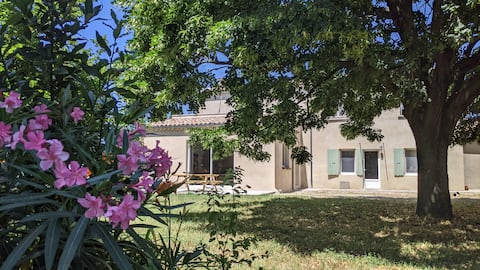 Independent garden level with trees in organic farm