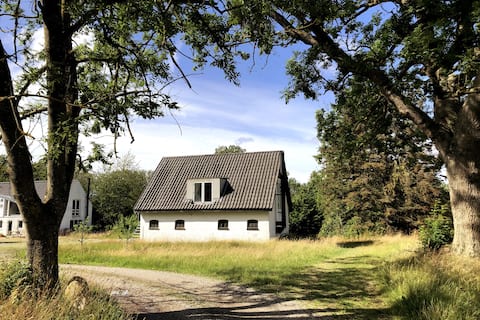 In nature by the beach, forest and city