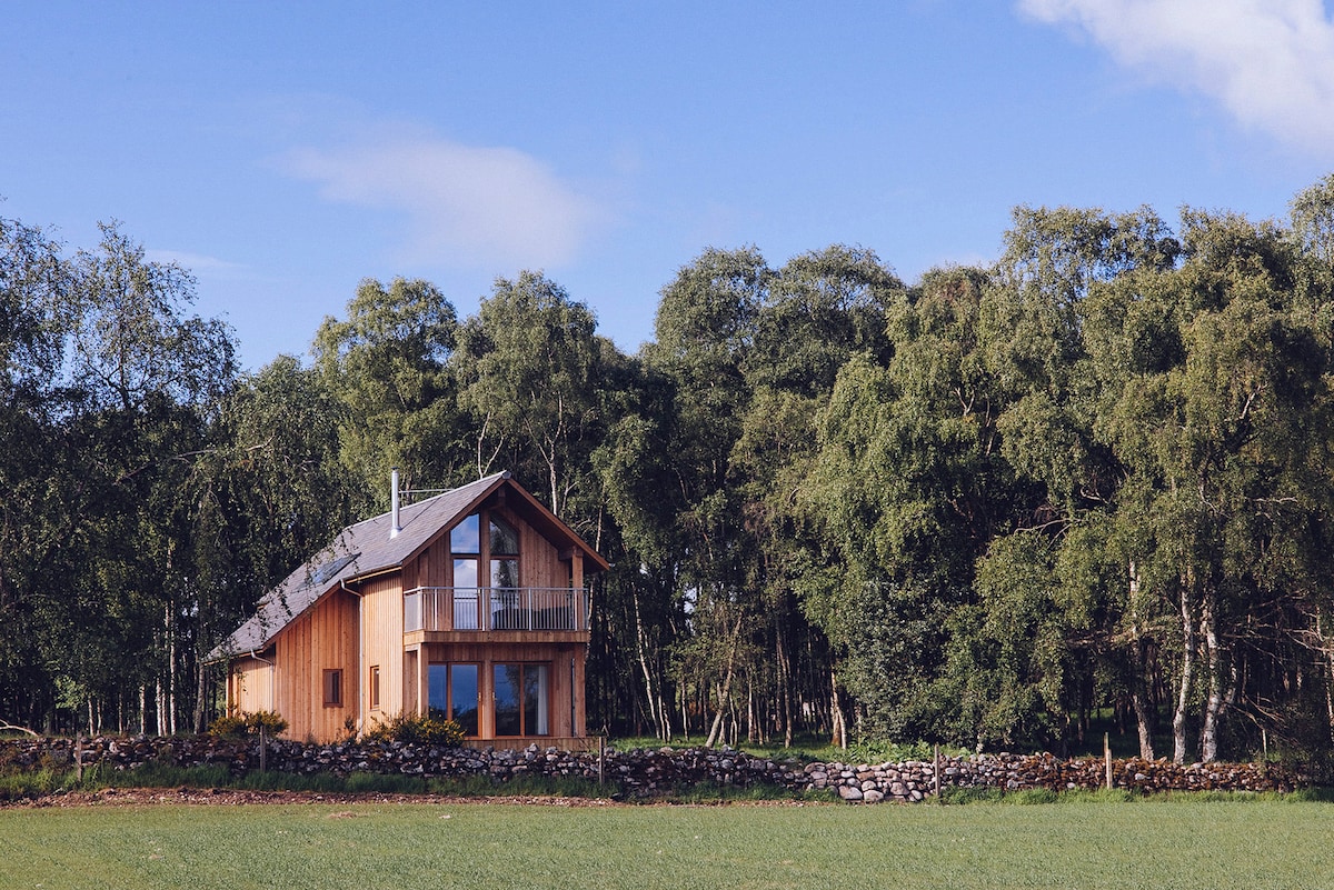 A modern eco-lodge is nestled amidst a woodland, showcasing a combination of wood and stone materials. Tall trees surround the property, enhancing its secluded feel. The lodge features large windows and a balcony, inviting natural light and offering views of the rural landscape.