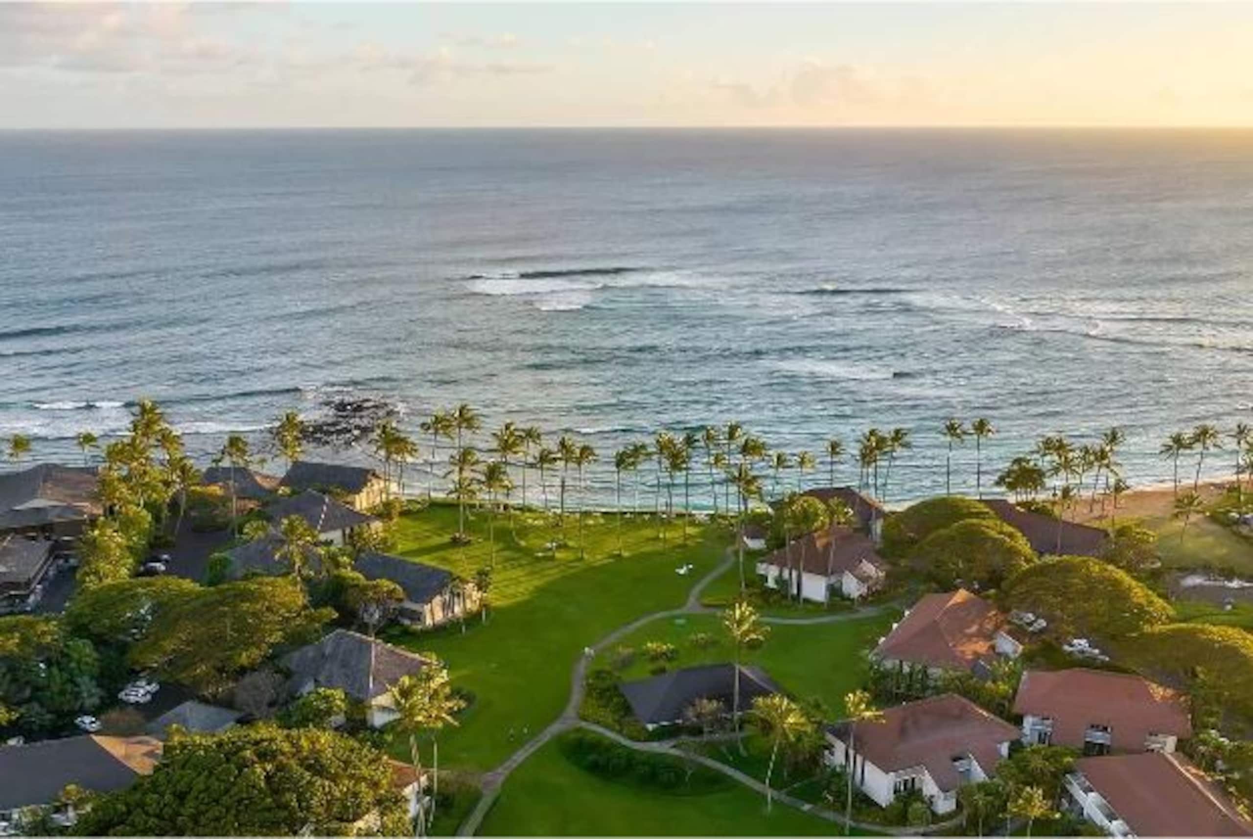 Seaside Serenity in Hawaii - Image 16