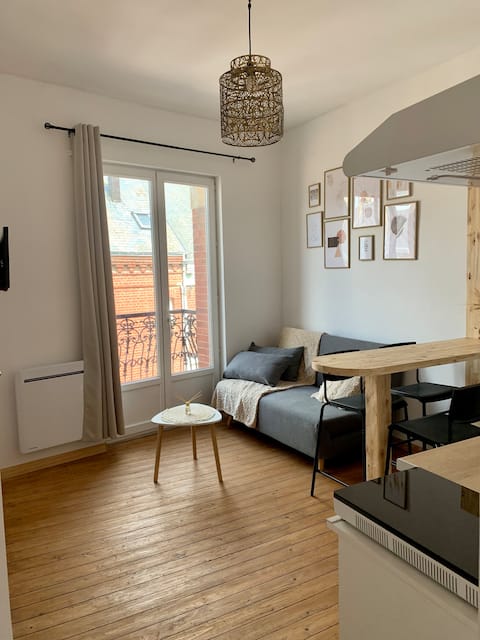 Propriété Airbnb réussie: Cozy 1st floor apartment with balcony "La Marinière" à Le Tréport