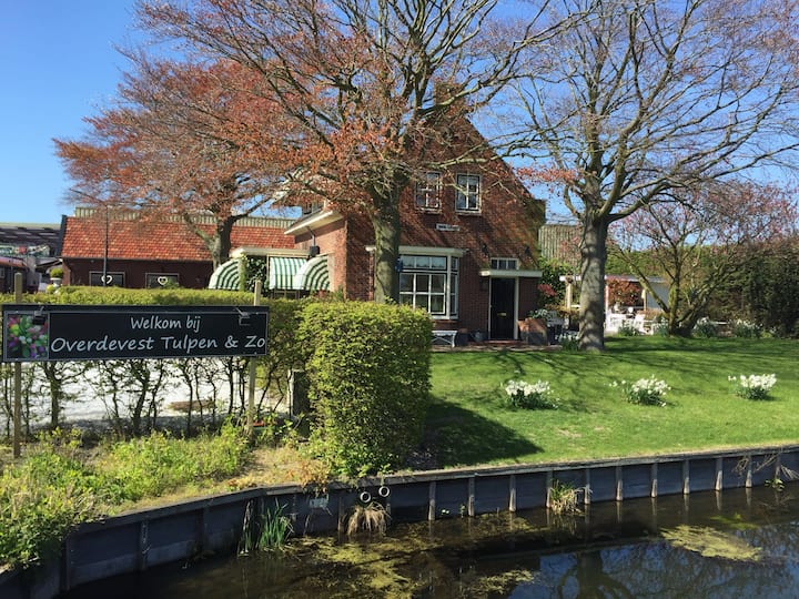 Tulpen Kwekerij Overdevest