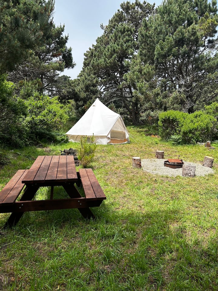 Secluded Camping in Point Arena - Walk to Town - Campsites til leie i Point  Arena, California, USA - Airbnb