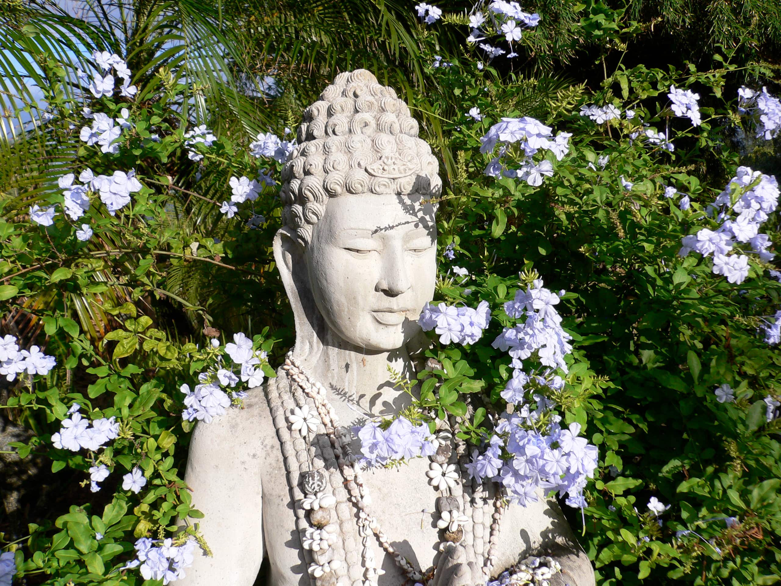 Honeymoon Haven: Ocean Vista & Bamboo Temple Bliss - Photo 16