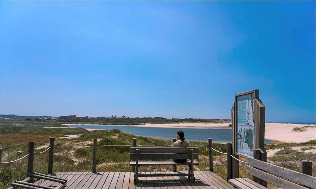 A wooden bench is situated on a raised platform overlooking a tranquil river and sandy banks. Lush greenery surrounds the area, and a map board is placed on one side. A clear blue sky adds to the serene atmosphere.