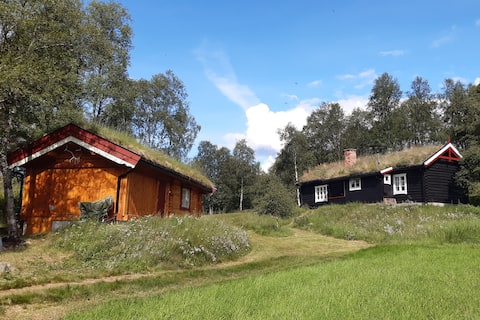 Cozy cabin in central Folldal