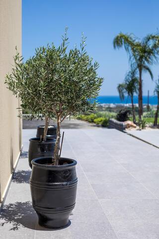 Madi Villa gallery image 4