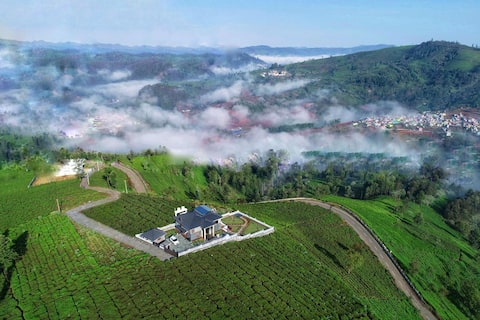 Vachi's Belvedere Home stay