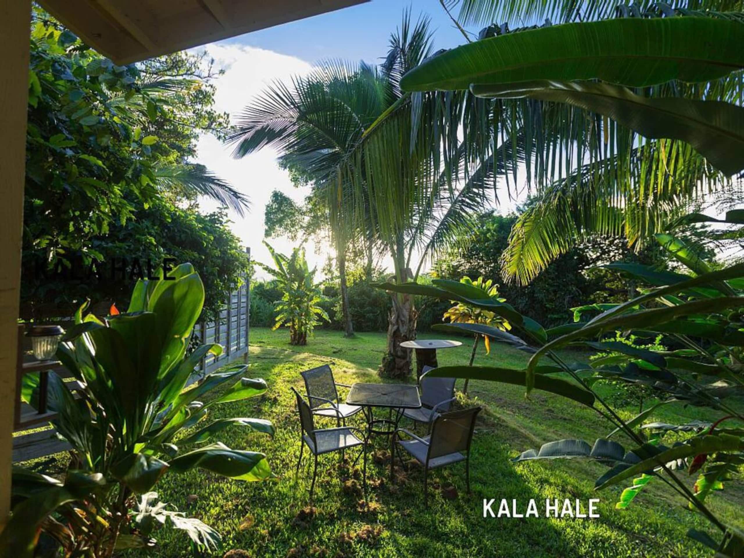Home in Haiku-Pauwela · ★4.95 · 1 bedroom · 1 bed · 1 private bath - Image 8