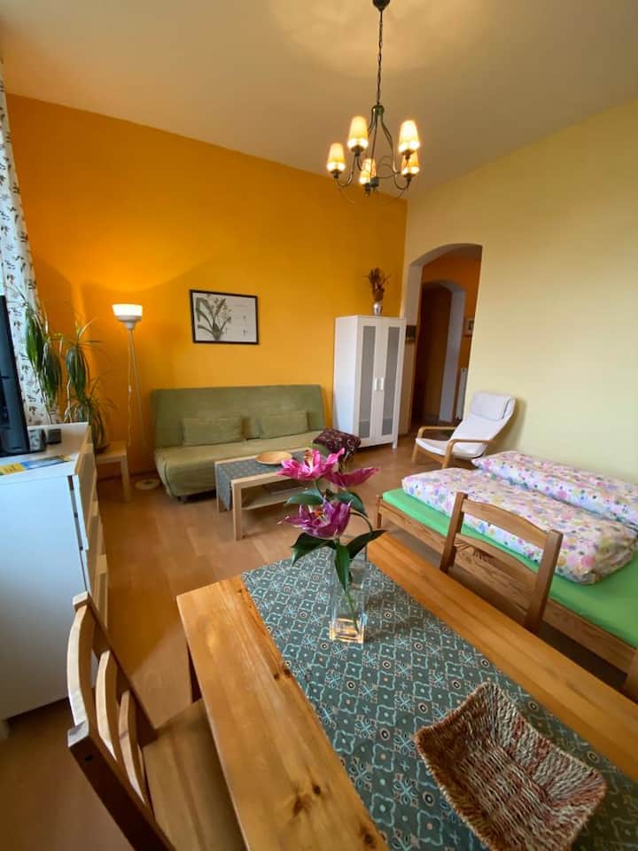 apart+ Haus Uni central/inexpensive Apartments for Rent in Dresden