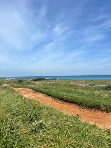 Villantonia gallery image 2