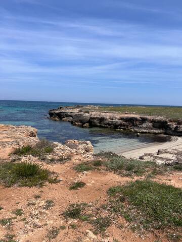 Villantonia gallery image 5