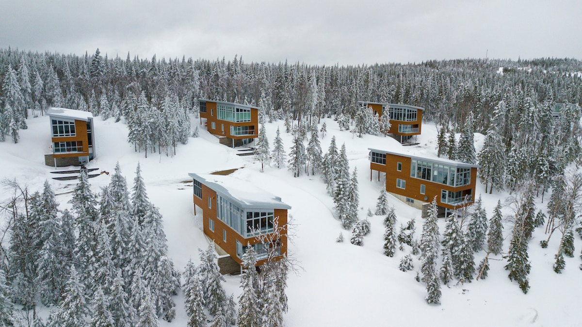 Five modern chalet-style buildings are nestled among snow-covered evergreens, creating a serene winter landscape. Each structure features large windows that allow natural light to illuminate the spacious interiors, while the surrounding forest provides a peaceful backdrop.