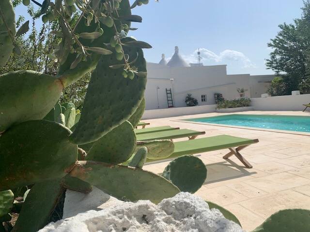 Trulli lavanda e rosmarino – Ostuni – gallery image 3