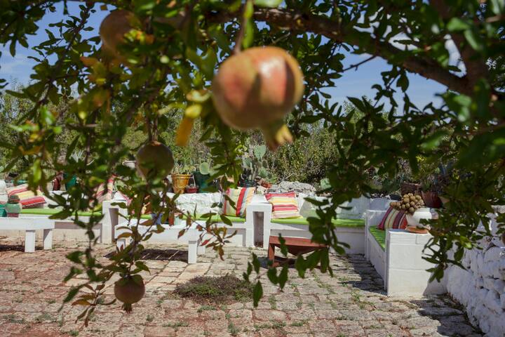 Trulli lavanda e rosmarino – Ostuni – gallery image 5