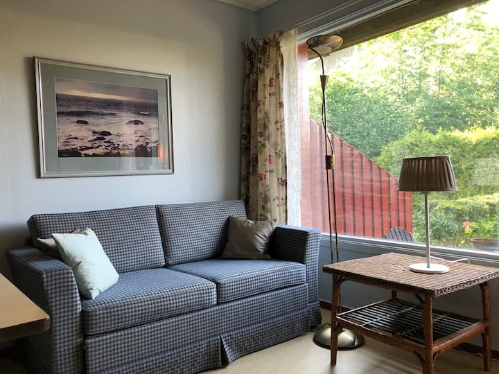 غرفة المعيشة