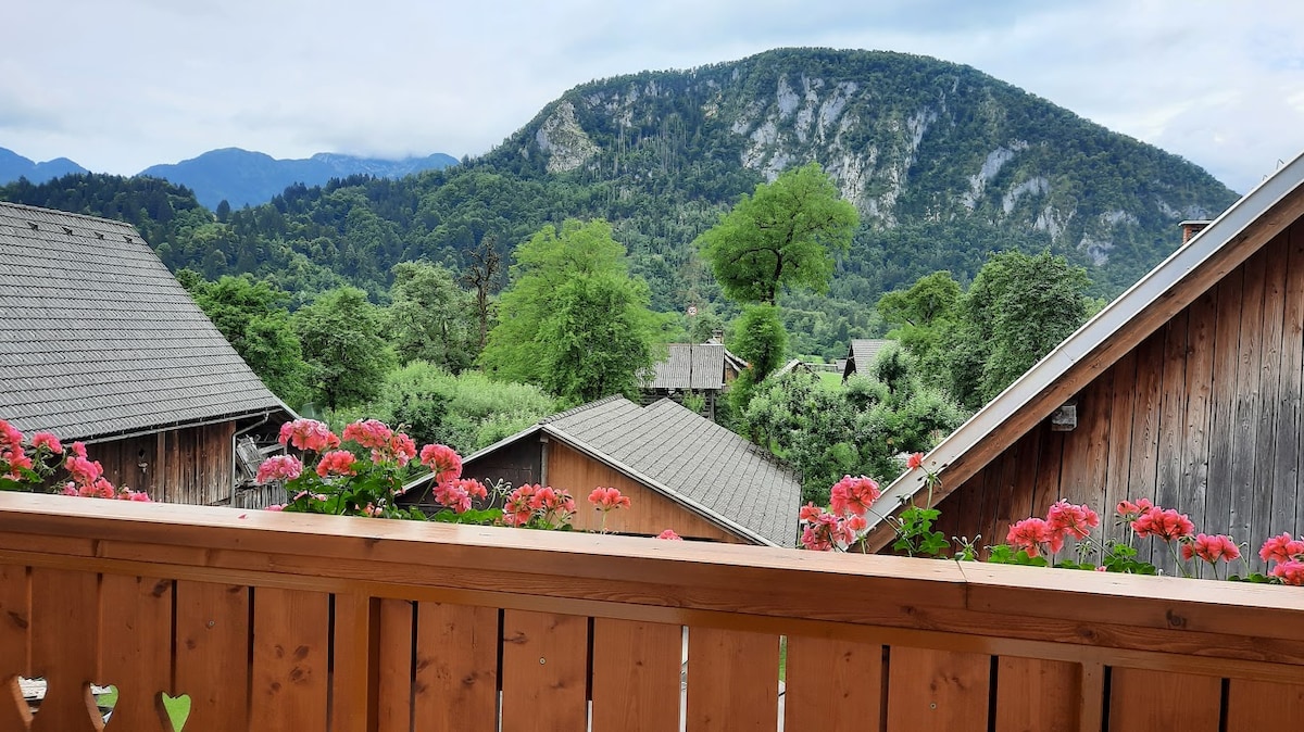 A scenic view is presented from the balcony, showcasing a lush green landscape adorned with vibrant flowers. Wooden houses are visible, nestled amid the trees, while distant mountains stand majestically against the sky, creating a peaceful rural ambiance.