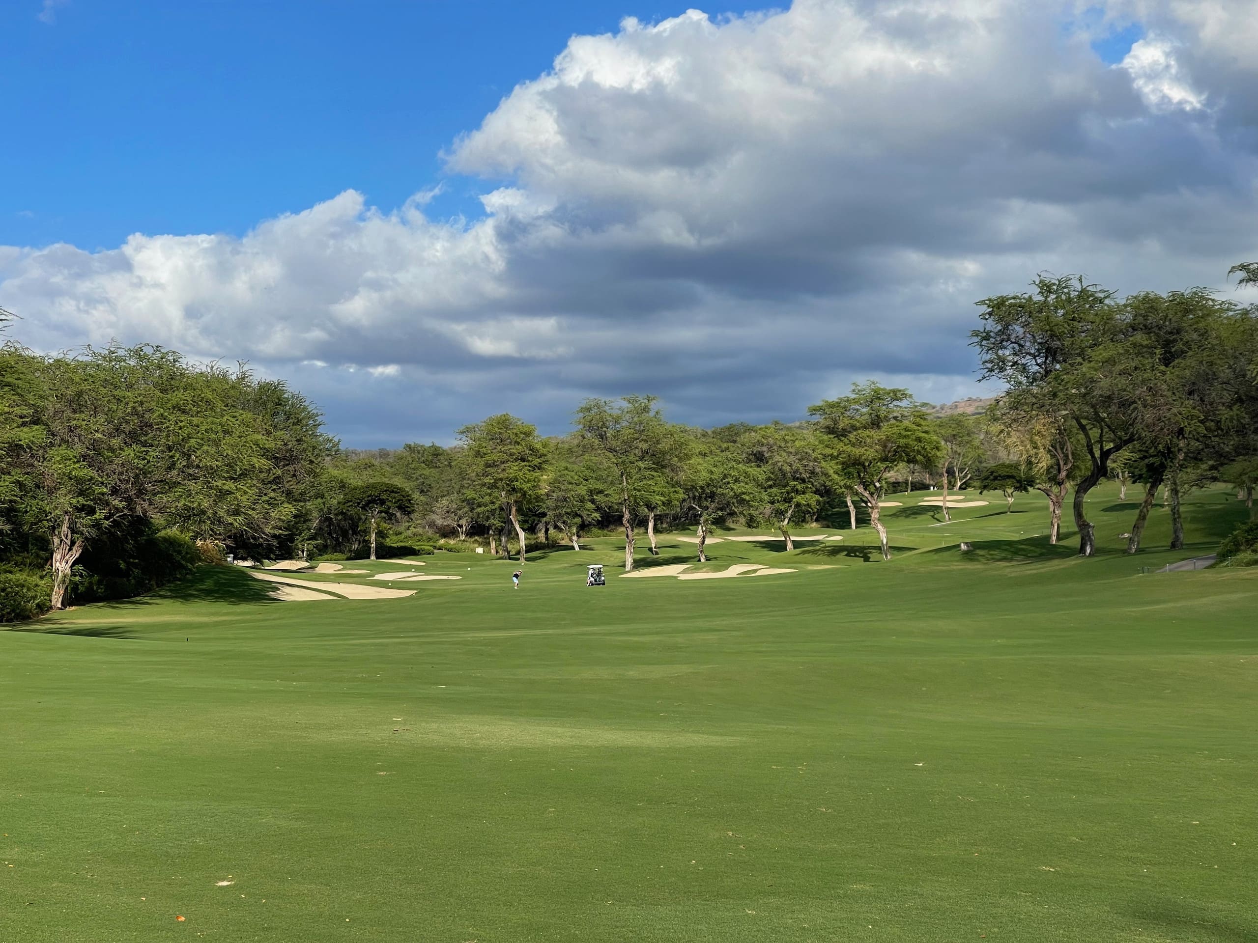 Condo in Kihei · ★4.97 · 2 bedrooms · 2 beds · 2 baths - Image 42