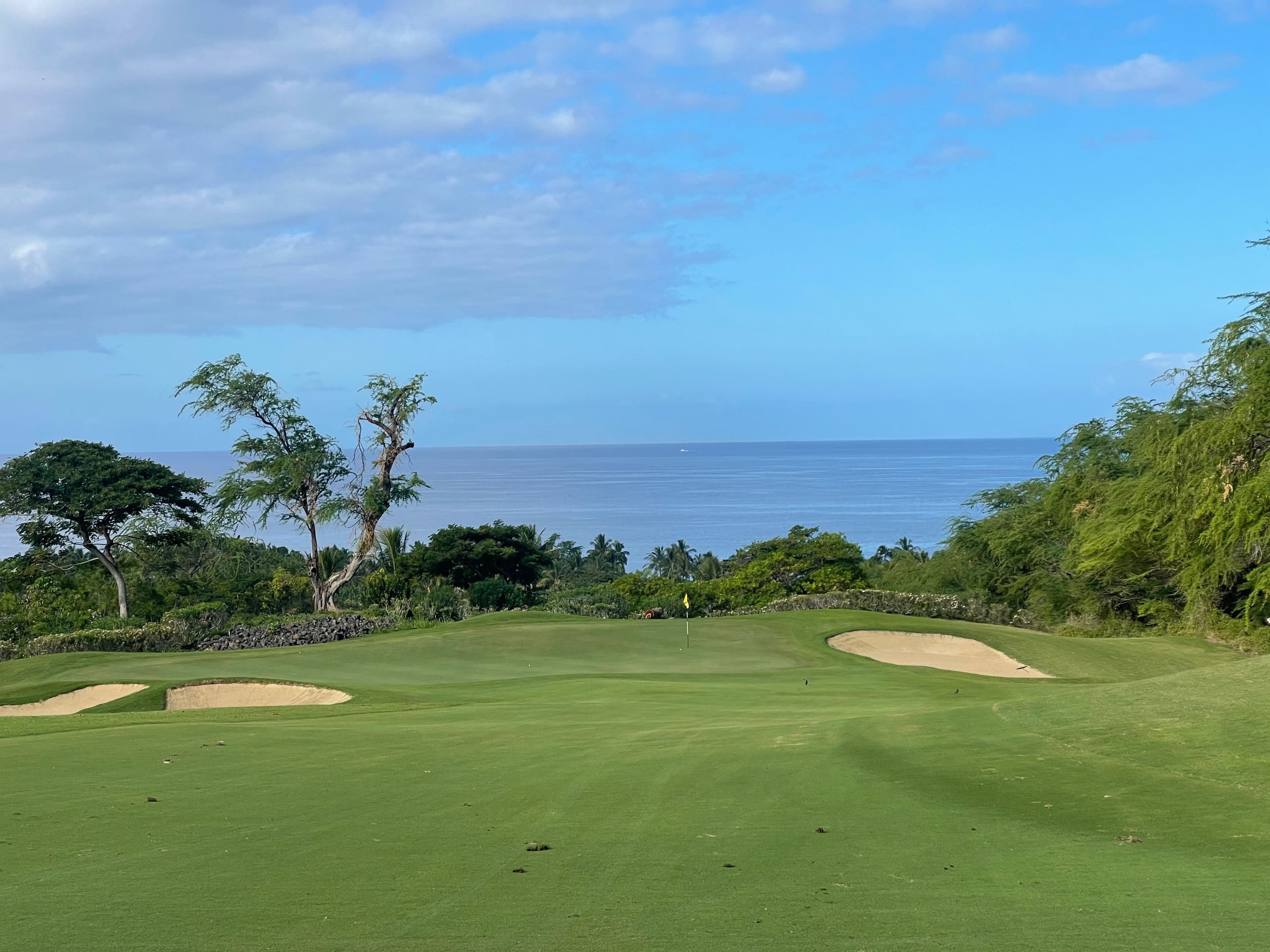 Condo in Kihei · ★4.97 · 2 bedrooms · 2 beds · 2 baths - Image 41