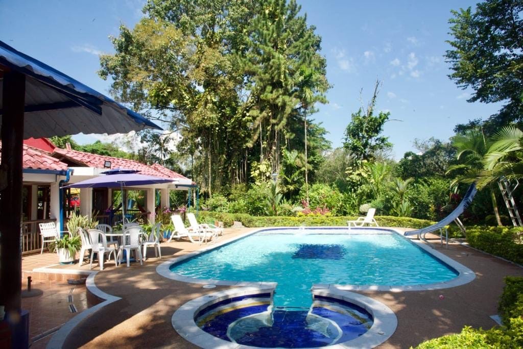 A tranquil outdoor space features a large swimming pool surrounded by lush greenery and tall trees. Comfortable seating areas, including white chairs and shaded umbrellas, offer space to relax. The clear blue water of the pool reflects the bright sky above.