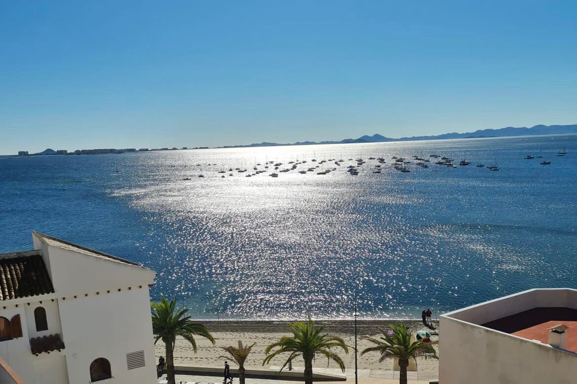 A serene view of the shimmering sea is captured, with numerous boats gently bobbing on the water. Palm trees line the shore, framing the coastline under a clear blue sky. The sunlight reflects off the waves, creating a sparkling effect across the surface.