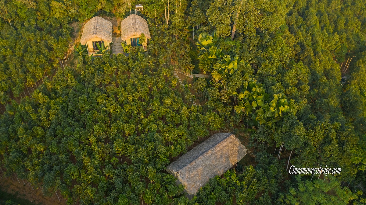 An aerial view displays the Eco Lodge nestled among lush greenery. Two traditional structures with thatched roofs are surrounded by dense trees, emphasizing the serene and natural environment. Pathways between the buildings lead through the vibrant foliage.