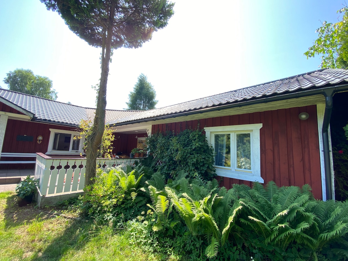 A charming Scandinavian-style house is framed by lush greenery. The red wooden exterior features a white window and a balcony, surrounded by vibrant ferns. Sunlight highlights the natural colors, creating a serene and inviting outdoor atmosphere.