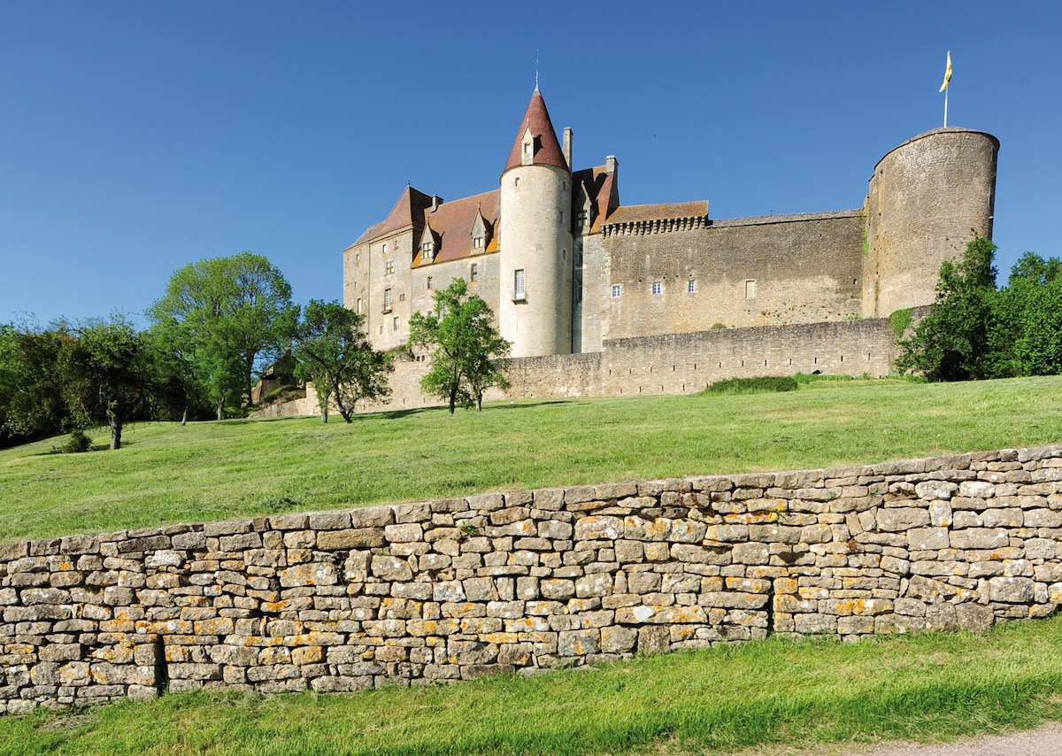 A historic castle is prominently positioned on a grassy hillside, displaying a mix of stone and brick architecture. Towering structures with pointed roofs and a fortified wall are visible. A rustic stone wall runs along the foreground, enhancing the scenic landscape.