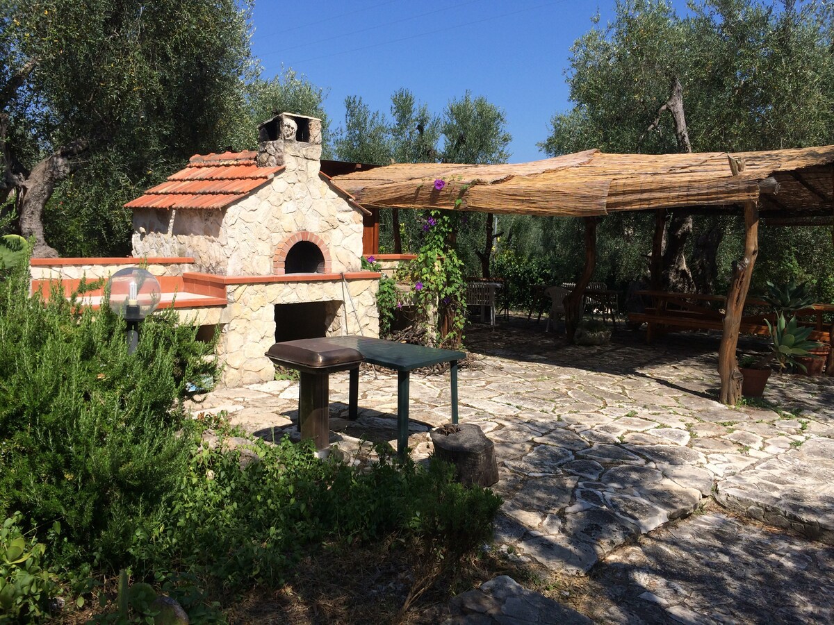 An outdoor cooking area is featured, constructed from rustic stone with a traditional oven. Nearby, a shaded seating space is provided by a wooden pergola, surrounded by lush greenery and olive trees. A stone pathway and table are visible, complementing the natural setting.