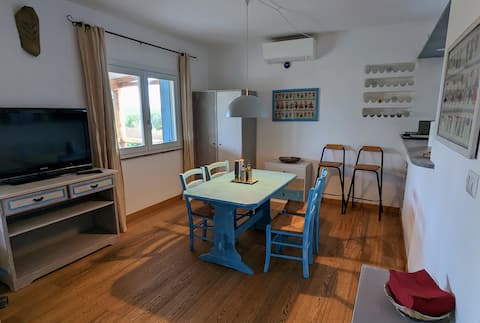 Successful Airbnb property: open space casa leyla (IUN R3043) in Palau