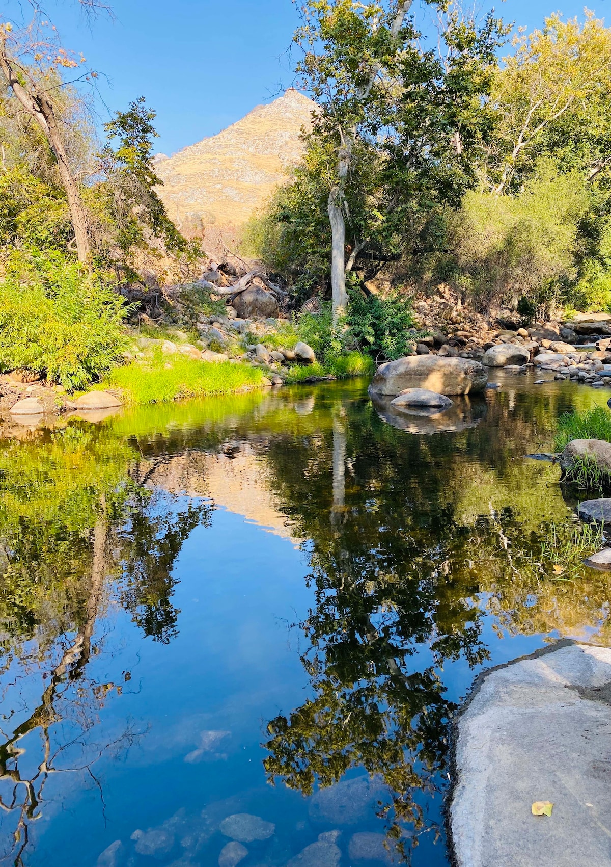 A serene river is presented surrounded by lush greenery and large rocks. The clear water reflects the vibrant blue sky and nearby trees, creating a calming natural scene. Sunlight filters through the leaves, enhancing the tranquility of this outdoor setting.