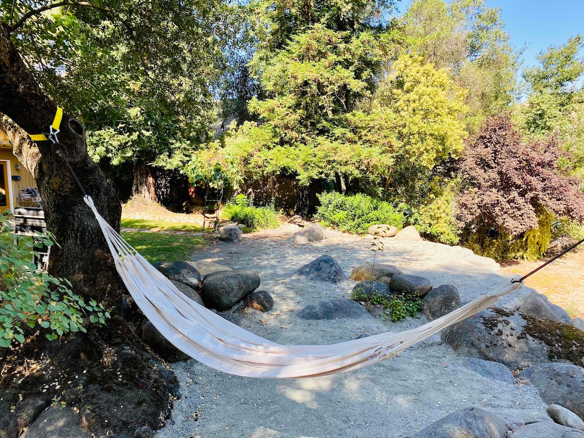 A spacious backyard features a hammock suspended between two trees. Smooth stones are arranged around the ground, and various lush green plants and trees create a natural setting. Sunlight filters through the foliage, offering a peaceful atmosphere.