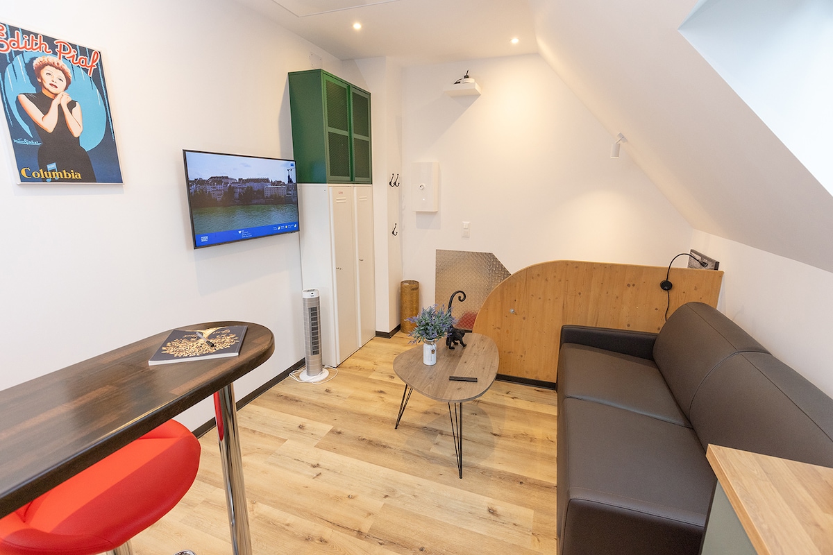 Proprietà Airbnb di successo: New, quiet apartment close to Basel a Saint Louis