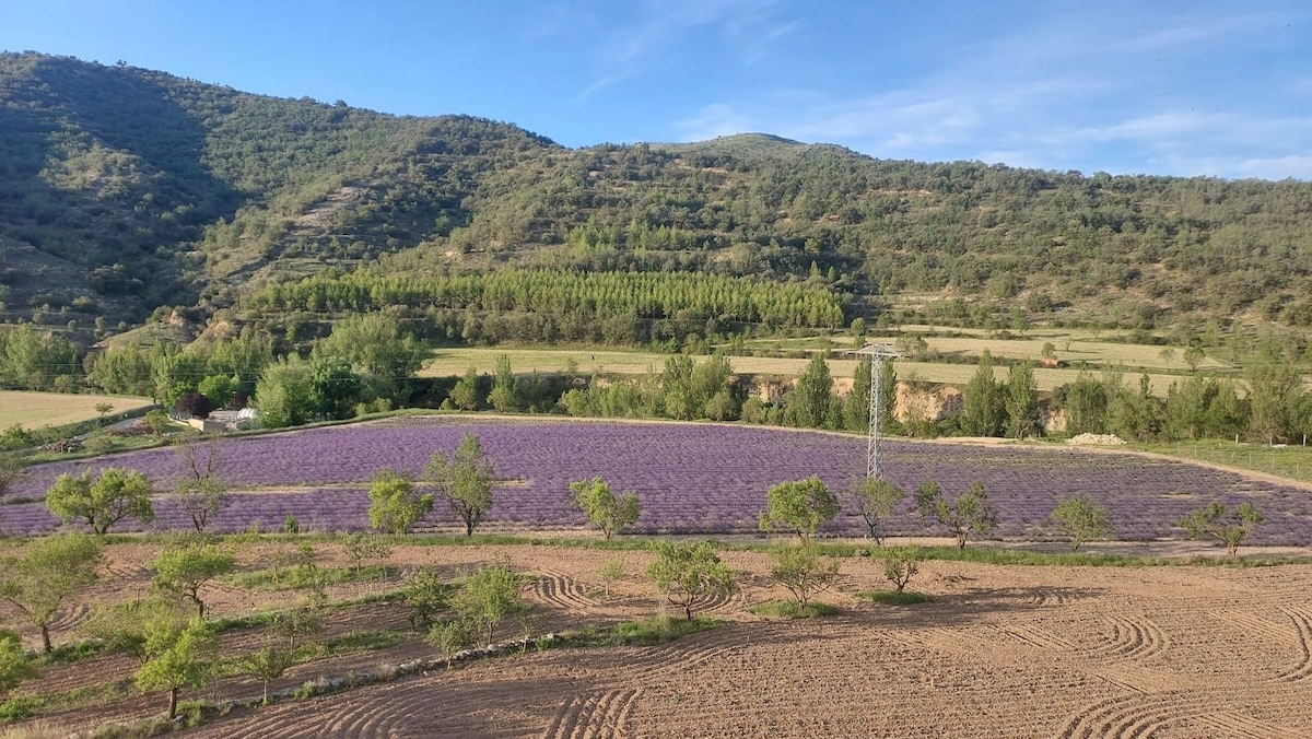 Entre Morella y Cantavieja "La Carrasqueta" 5