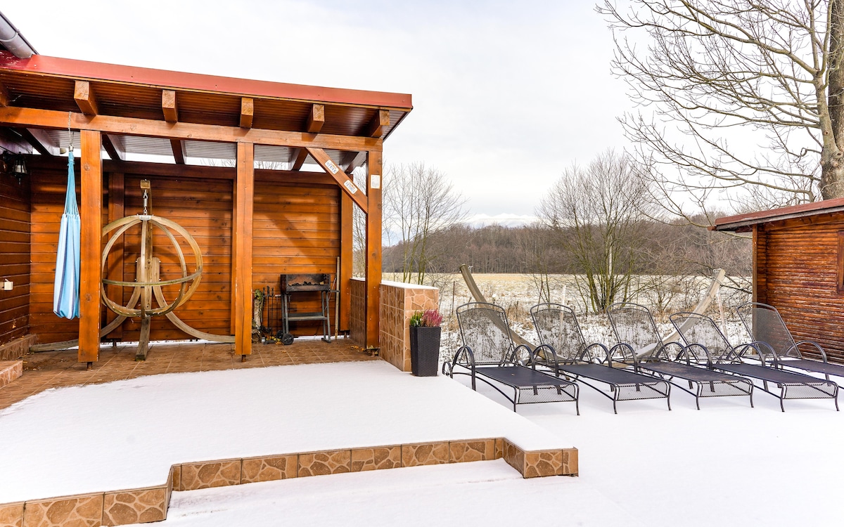 A wooden deck is partially covered by snow, featuring a set of six lounge chairs arranged neatly. A covered area with wooden beams houses a decorative wheel and equipment. Sparse trees are visible in the background against a cloudy sky.