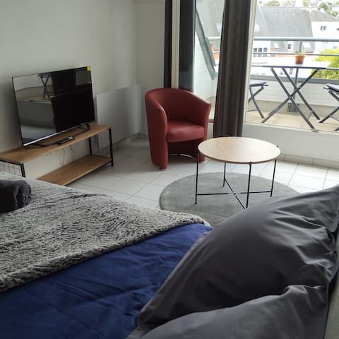 Propriété Airbnb réussie: T1 35 m², Ext 2 m², Secure parking à Quimper