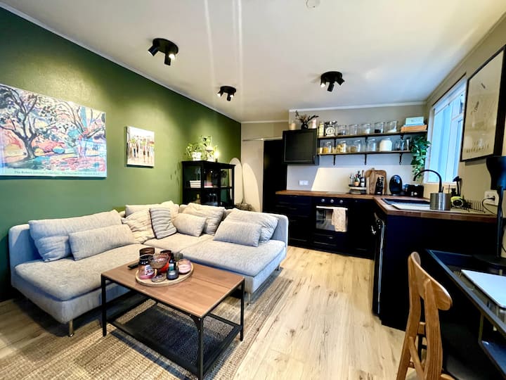 Studio Apartment In Reykjavik - Reykjavík
