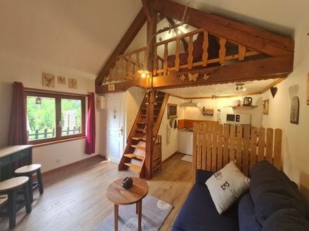 Proprietà Airbnb di successo: Charming little cottage a Anould