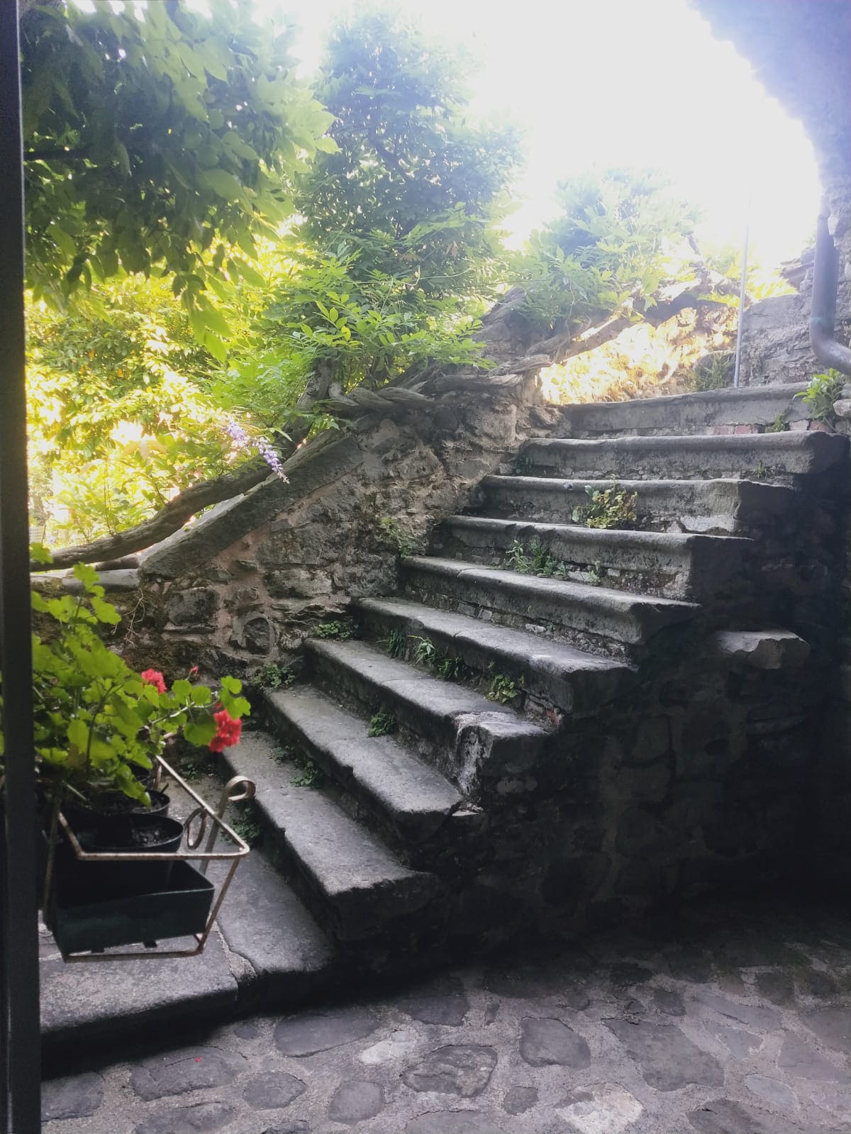 A stone staircase is framed by lush greenery, with vibrant flowers accentuating the sides. Sunlight filters through the foliage, creating a soft glow on the steps leading upward, which are bordered by a natural stone wall and a cobblestone path.