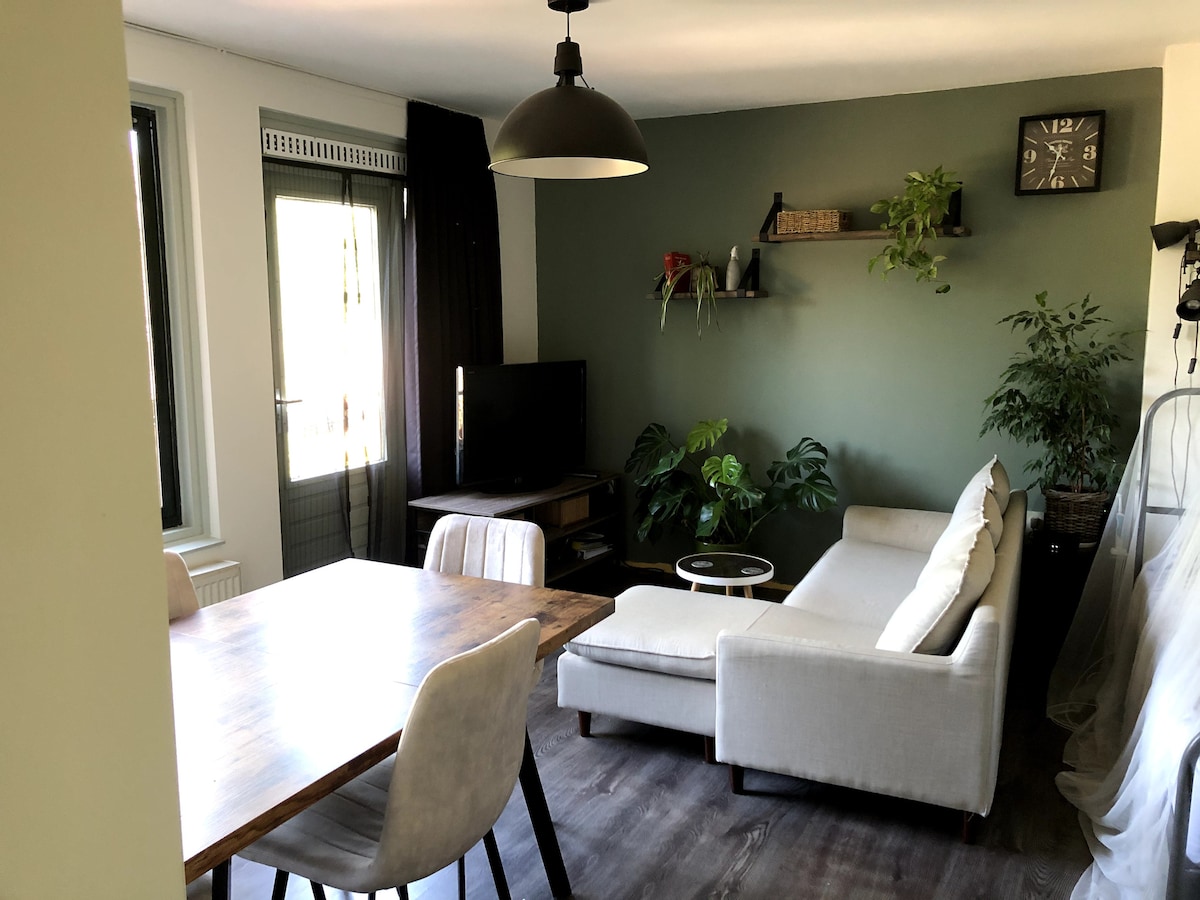 A living area features a light-colored sofa adjacent to a wooden dining table with four chairs. A television is positioned against a green accent wall, complemented by decorative plants and a wall shelf. Large windows allow natural light to brighten the space.