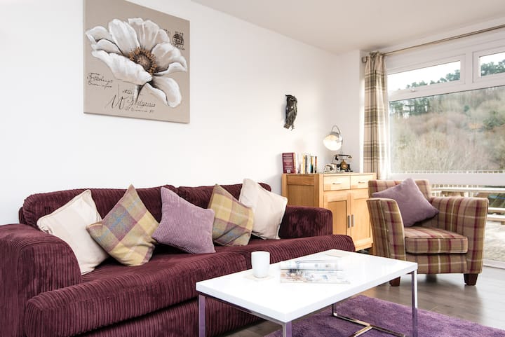 Blueview 119 - Modern Villa Lovely Sea Views! - Looe
