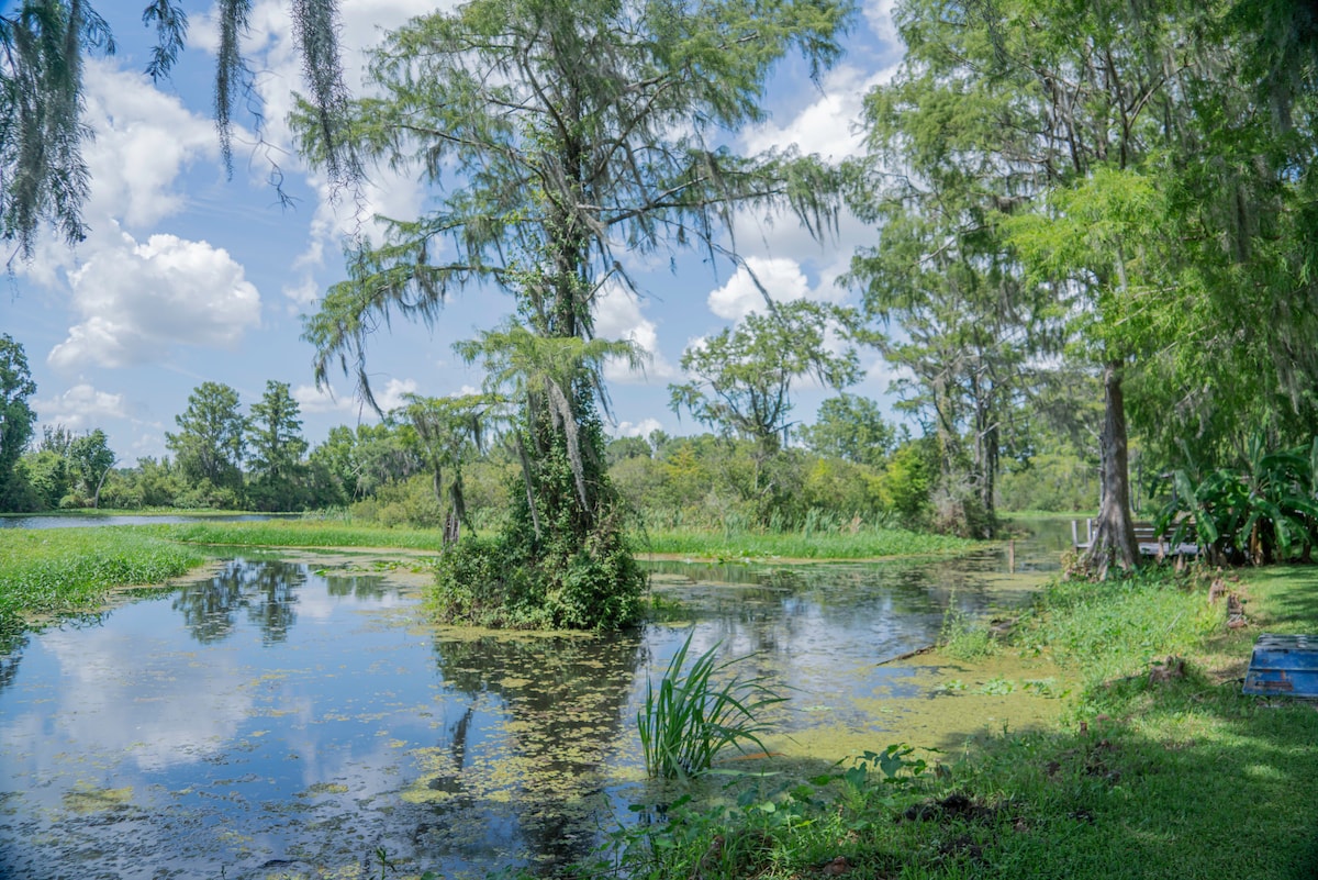 A serene view of the Withlacoochee River is captured, featuring lush greenery and a calm surface reflecting the sky. Tall trees frame the water, while patches of aquatic plants and grasses provide texture along the riverbank, creating a peaceful natural setting.