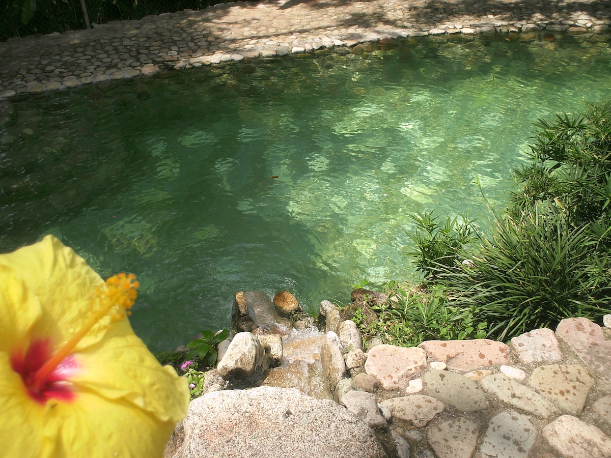 A natural swimming pool is surrounded by smooth stones and lush greenery. The tranquil water reflects shades of green, while a vibrant yellow hibiscus flower adds a pop of color in the foreground. Sunlight glimmers on the water's surface, enhancing the serene setting.