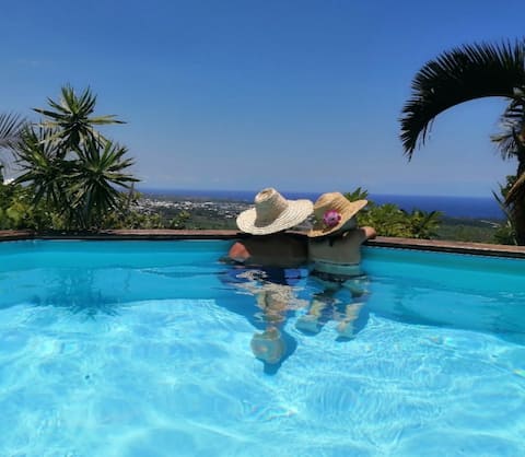 Le Perchoir bungalow cozy, private pool and views!
