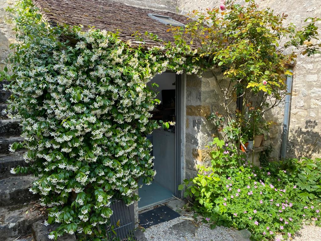 The entrance to the charming accommodation is framed by lush greenery and flowering plants. Natural light is noted, highlighting a pathway leading to the door, which is partially visible. Stone steps ascend toward the entrance, contributing to the inviting ambiance.