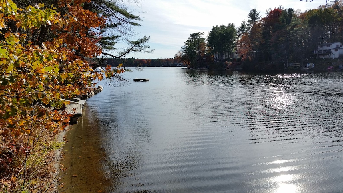 A serene lake scene is captured, with calm waters reflecting the blue sky and surrounding trees. Colorful autumn foliage lines the shore, and a small dock extends into the water, offering a peaceful retreat into nature.
